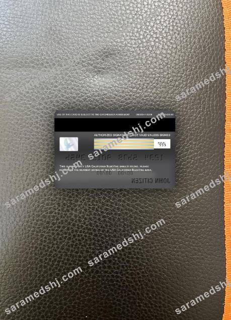 USA California BlueVine bank visa classic card photolook back